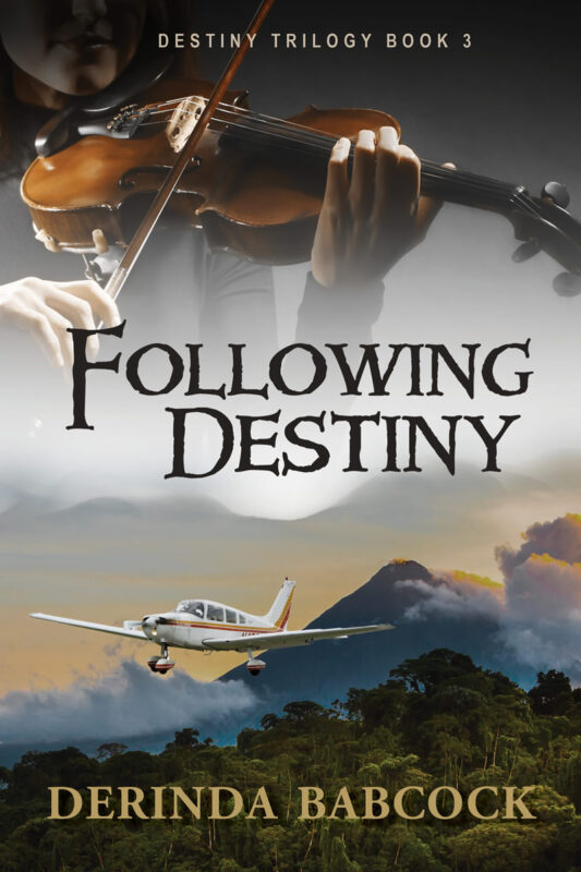 Following Destiny (Book 3)